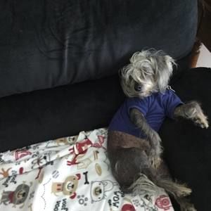 Meet your Posher, Erica